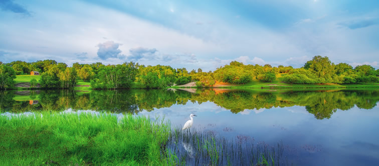 泰安三英新材料股份有限公司